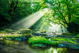 Fototapeta Góry - Kikuchi valley, waterfall and ray in forest, Japan