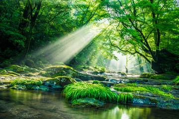 Kikuchi valley, waterfall and ray in forest, Japan