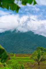 Wall Mural - Rice terraces in mountains. Cloudy sky at the background. Tropics. Bali, Indonesia.