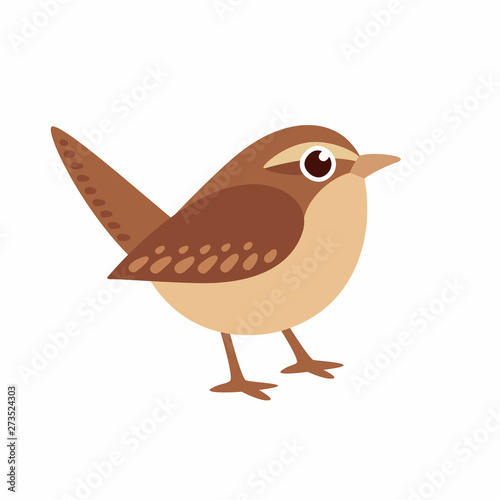 Fotografía Carolina Wren illustration