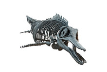 イクチオサウルス 歯 [IC1] 化石 恐竜 イクチオサウルス | ジュラシック・パーク Wiki | Fandom