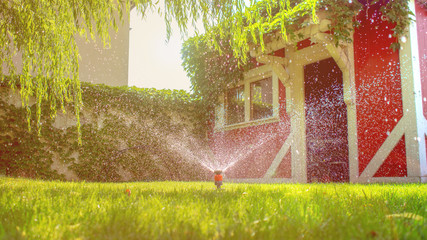 working in garden, watering plants with garden hose