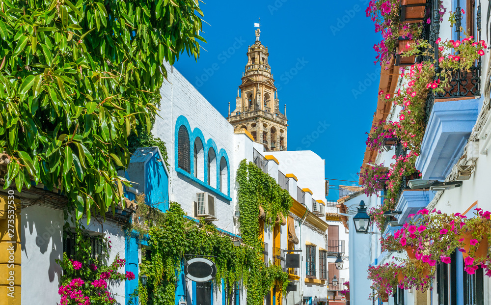Scenic sight in the picturesque Cordoba jewish quarter with the bell tower of the Mosque Cathedral. Andalusia, Spain. - obrazy, fototapety, plakaty 