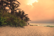 Beach Sunset Travel Vacation Lifestyle Landscape With Palm Trees Wide Sand Coastline Waves With Scenic Orange Sunset Sky In Sri Lanka Tangalle Beach