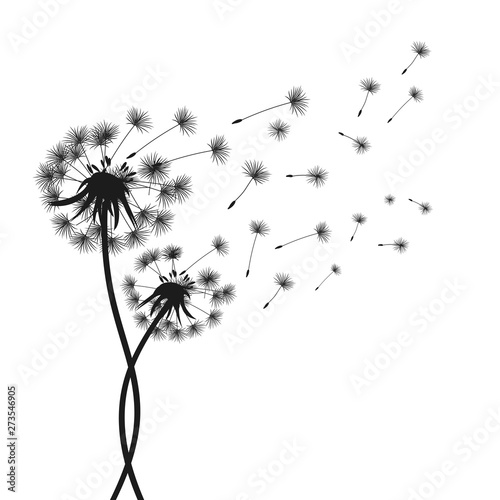 Two abstract black dandelion, flying seeds of dandelion - stock vector