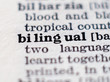 Dictionary definition of word bilingual. Selective focus.
