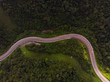 road and forest aerial view