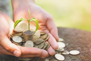 Hand with tree growing from pile of coins, concept for business, innovation, growth and money