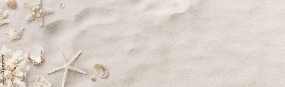 beach / sea themed banner or header with beautiful shells, corals and starfish on pure white sand - summer concept - obrazy, fototapety, plakaty 