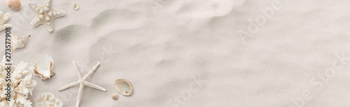 Fotografía beach / sea themed banner or header with beautiful shells, corals and starfish o