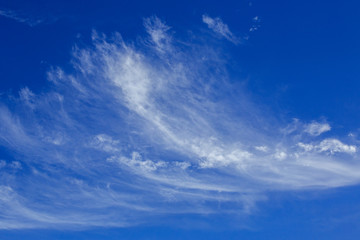 Wall Mural - Blue sky with clouds for the background.