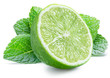 Lime fruit and mint leaves isolated on the white background.