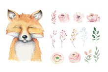 Watercolor Forest Cartoon Isolated Cute Baby Fox, Animal With Flowers. Nursery Woodland Illustration. Bohemian Boho Drawing For Nursery Poster, Pattern
