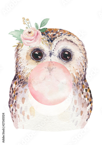 Watercolor Forest Cartoon Isolated Cute Baby Owl With Gum Animal