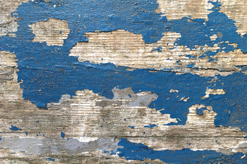 Wall Mural - Grunge background. Peeling paint on an old wooden floor. Vintage wood background. Old Wood texture