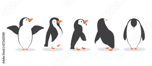 Fotomural penguin characters in different poses set