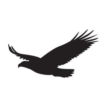 Vector Silhouette Of The Bird Of Prey In Flight With Wings Spread