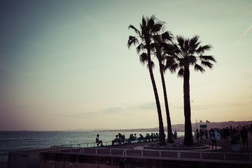 Wall Mural - Nice in the evening after sunset. French Riviera. Provence-Alpes-Cote d'Azur, France.