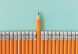 Row of orange pencils with one sharpened pencil. Leadership / standing out from a crowd concept with copy space.