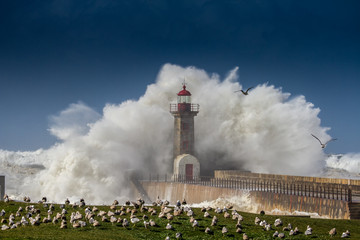 farol