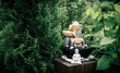 Small home garden private fountain with meditating Buddha statue between trees and bushes. Private zen garden concept.