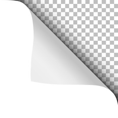 Wall Mural - Vector sheet of white paper with twisted upper right corner, soft shadow and transparent next page