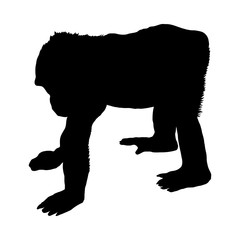 Sticker - Gorilla Silhouette