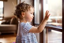 A Toddler Girl Standing By Window Indoors At Home, Looking Out.