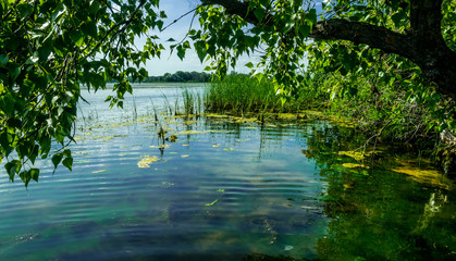 Poster - Marshland nature of Louisiana. US Natural Parks