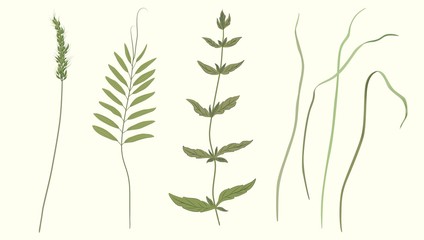  drawing botanical flower branch spring floral vintage vector element flora   herbal garden herb botany natural organic  summer plant leaf