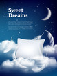 Night dream pillow. Advertizing poster with pillows clouds and feathers comfortable space vector realistic concept. Illustration of night sleep, pillow with feather