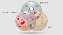 Proteins, Fats And Carbohydrates Scheme. Nutrition Vector Illustration