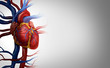 Human Heart Background