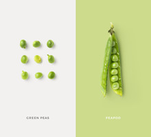 Creative Food / Nutrition / Diet Concept With Fresh Green Peas In A Group And Single Open Pea Pod, Minimalist Colorful Graphic Layout