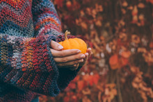 Woman Wearing Warm Woolen Sweater In Bohemian Style Holding In Hands A Small Orange Pumpkin. In The Background Blurred Autumn Leaves. Colorful Vibrant Photography About Handmade, Knitting And Harvest.