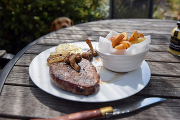 Wall Mural - dog watching Beef Steak served on wooden table with homemade fried potatoes 