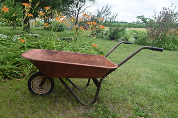 Wall Mural - Wheelbarrow