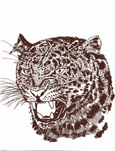 Graphical Vintage Panther ,vector Illustration