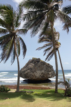 A Massive Rock On A Beach In Barbados