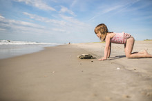 5 Year Old Girl On Beach With Sea Turtle