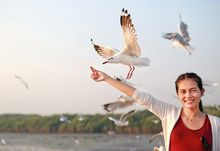 Asian Woamn Feeding With Seagulls.