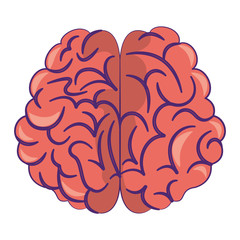 Sticker - Human brain intelligence symbol cartoon isolated