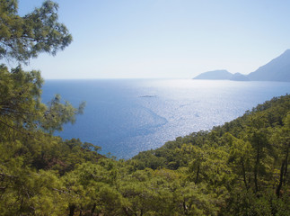 Beautiful summer seascape. Mountain coast of the blue sea. Rocks and forest near the ocean coast.