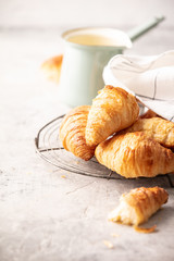 Wall Mural - Morning coffee, croissants and spring tulips on light grey background