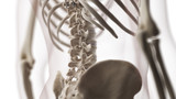Fototapeta  - 3d rendered medically accurate illustration of the lumbar spine