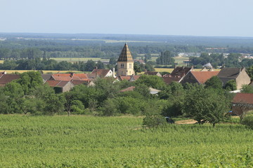 Canvas Print - Bourgogne - vignoble - village de Marsannay