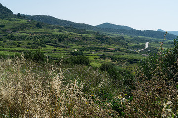 Canvas Print - The island of Hvar