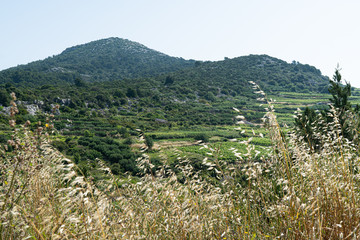 Canvas Print - The island of Hvar