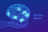 Fototapeta Konie - Brain. Digital brain in hand. 3D Science and Technology concept. Neural network. IQ testing, artificial intelligence virtual emulation science technology. Brainstorm think idea. Vector illustration.