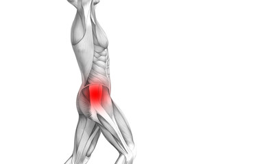 Conceptual hip human anatomy with red hot spot inflammation articular joint pain for leg health care therapy or sport muscle concepts. 3D illustration man arthritis or bone sore osteoporosis disease